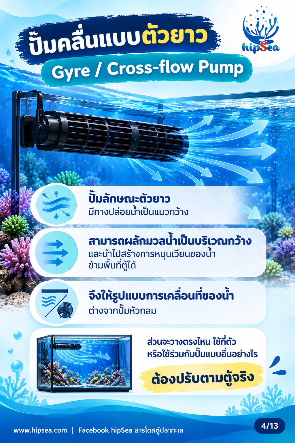 ก่อนเลี้ยงต้องรู้ EP4 - อุปกรณ์, ปั๊มคลื่น, chiller, dosing