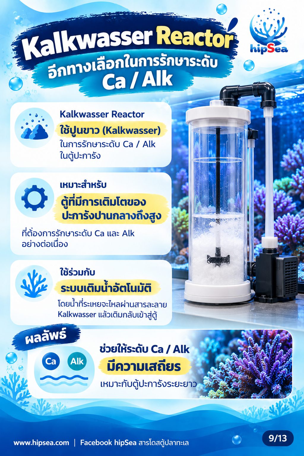 ก่อนเลี้ยงต้องรู้ EP4 - อุปกรณ์, ปั๊มคลื่น, chiller, dosing