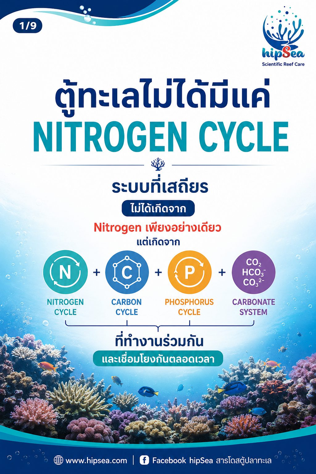 ตู้ทะเลไม่ได้มีแค่ Nitrogen Cycle
