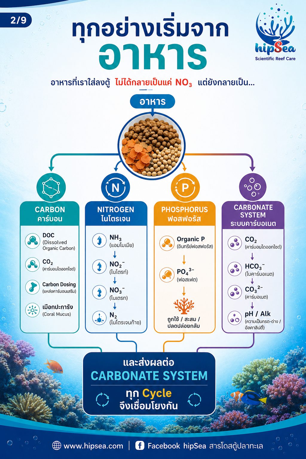 ตู้ทะเลไม่ได้มีแค่ Nitrogen Cycle - วัฏจักร, carbon, phos, คาร์บอน, ไนโตรเจน, ฟอส