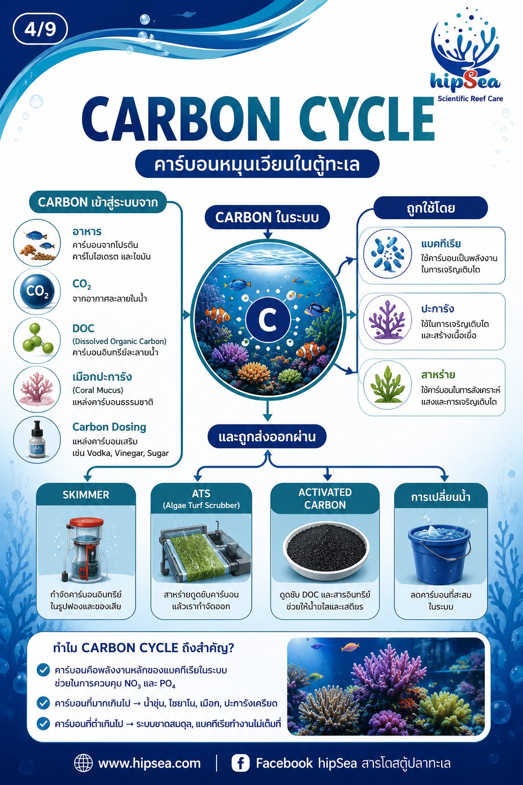 ตู้ทะเลไม่ได้มีแค่ Nitrogen Cycle - วัฏจักร, carbon, phos, คาร์บอน, ไนโตรเจน, ฟอส