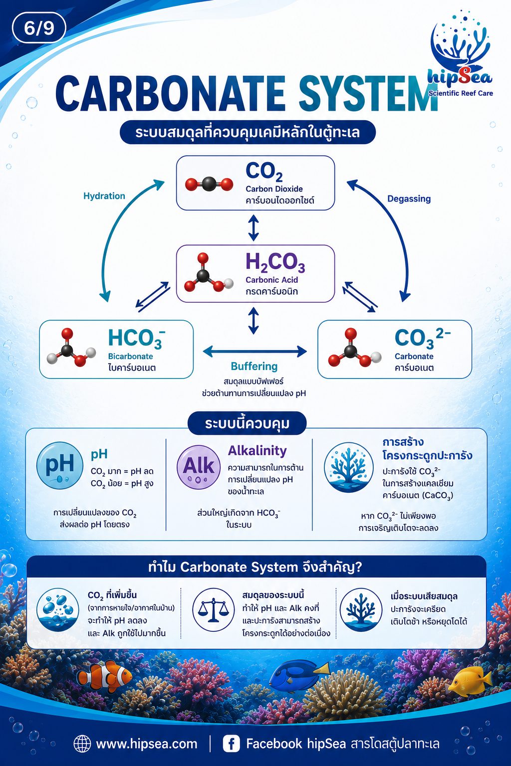 ตู้ทะเลไม่ได้มีแค่ Nitrogen Cycle - วัฏจักร, carbon, phos, คาร์บอน, ไนโตรเจน, ฟอส