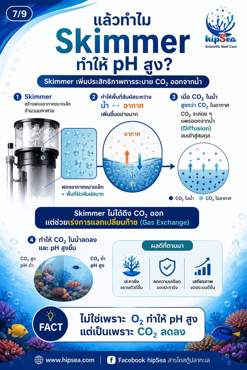 ตู้ทะเลไม่ได้มีแค่ Nitrogen Cycle - วัฏจักร, carbon, phos, คาร์บอน, ไนโตรเจน, ฟอส