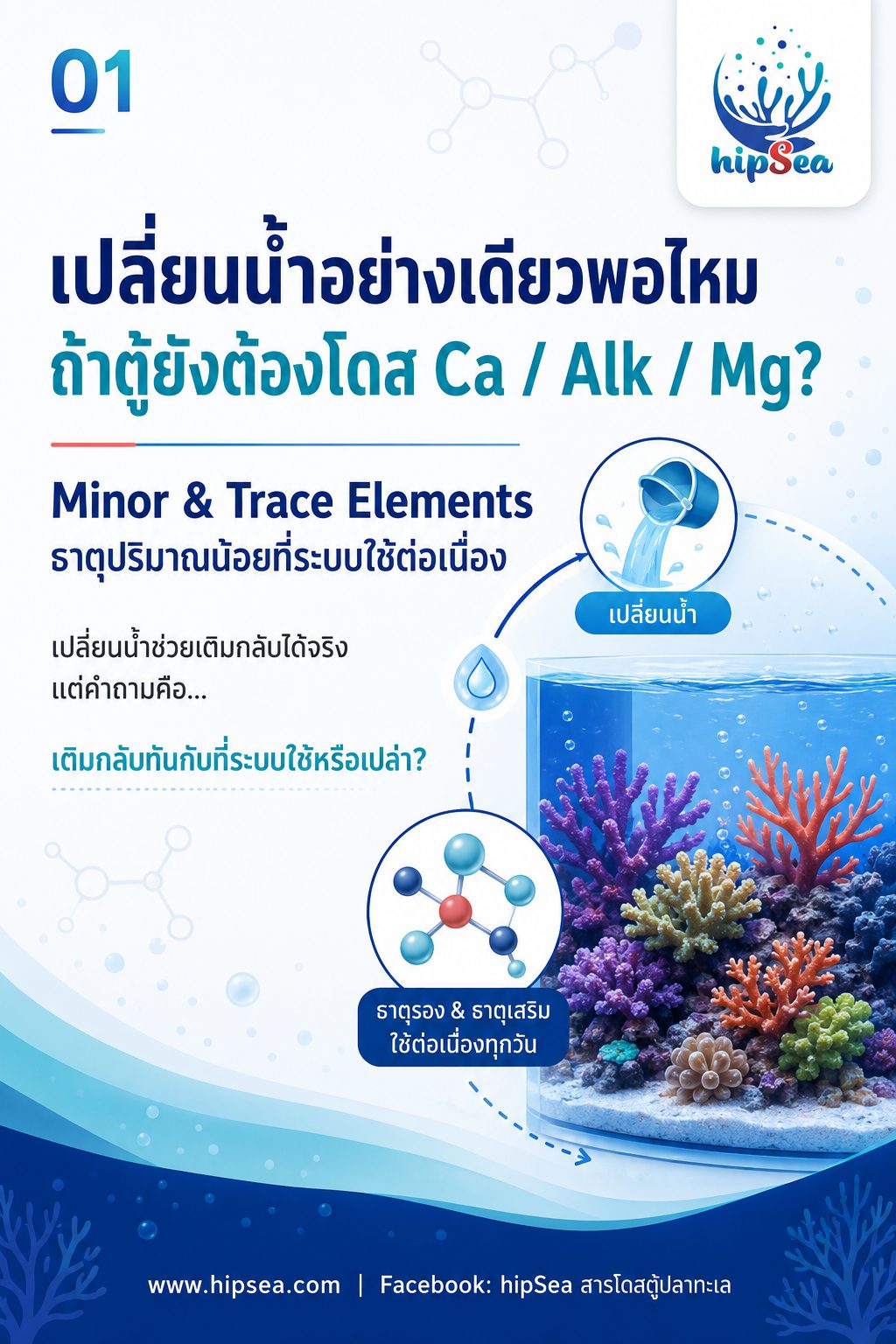 เปลี่ยนน้ำอย่างเดียวพอไหม