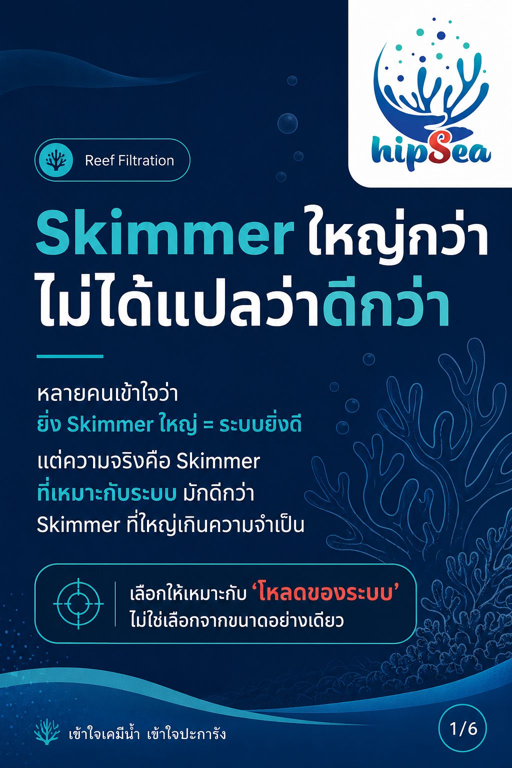 Skimmer ยิ่งใหญ่ยิ่งดีจริงหรือ