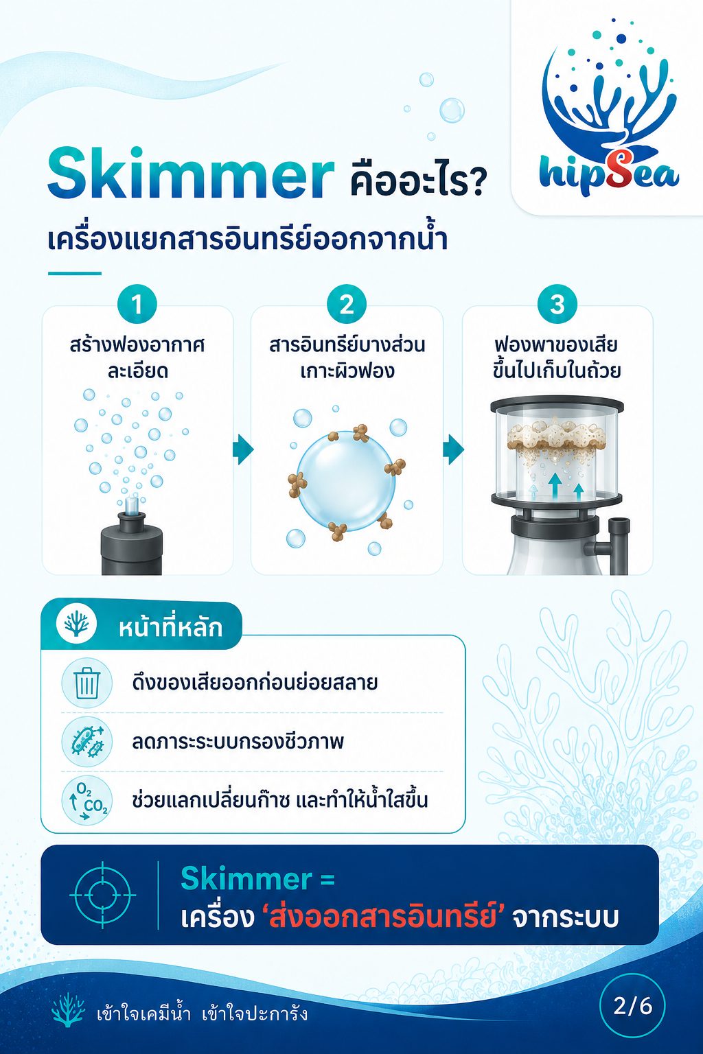 Skimmer ยิ่งใหญ่ยิ่งดีจริงหรือ - สกิม