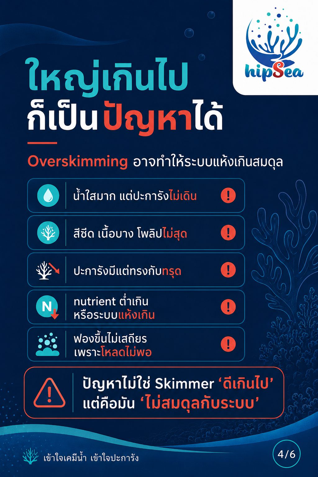 Skimmer ยิ่งใหญ่ยิ่งดีจริงหรือ - สกิม