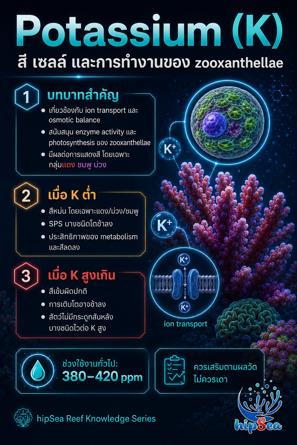 ธาตุหลักสำหรับตู้ทะเล - สารโดส, Ca, Mg, Kh, K, แร่ธาตุ