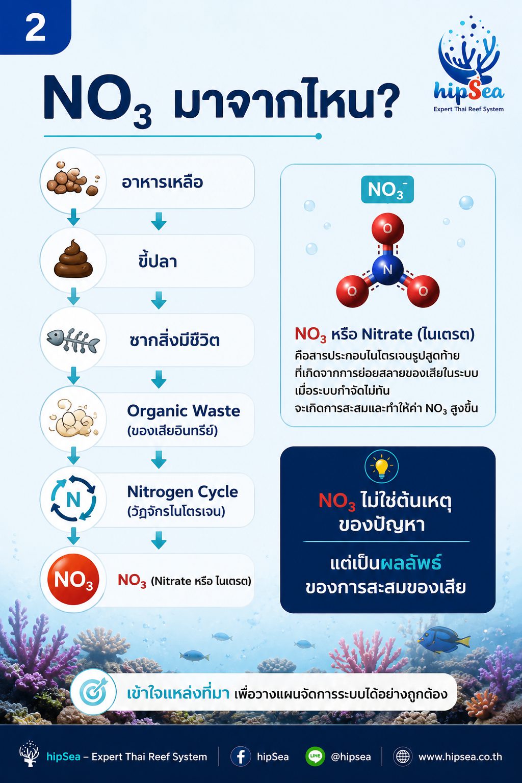 NO3 สูงแก้ที่ต้นเหตุ - ไนเตรท