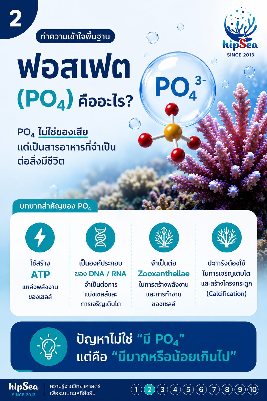 PO4 สูงอย่าเพิ่งรีบลด - ฟอสเฟต