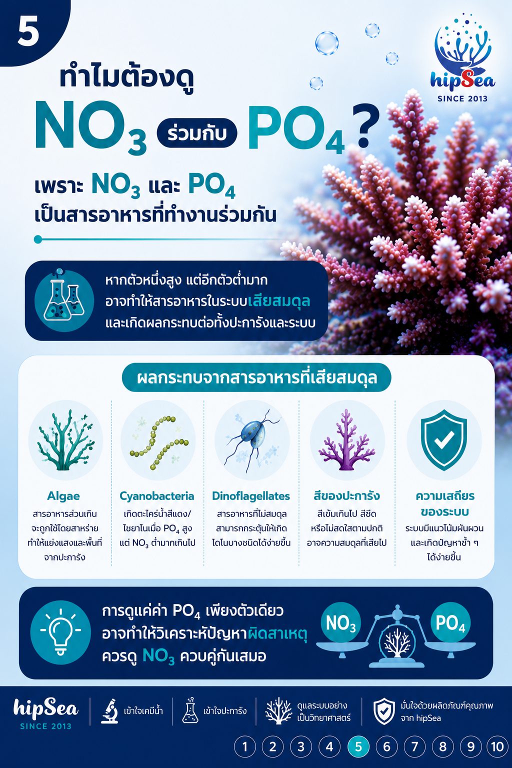PO4 สูงอย่าเพิ่งรีบลด - ฟอสเฟต