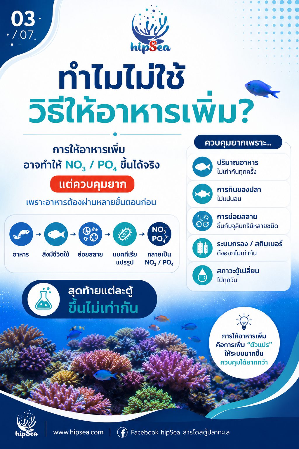 ทำไมต้องเติม NO3-PO4 - นิ่ง, โดส