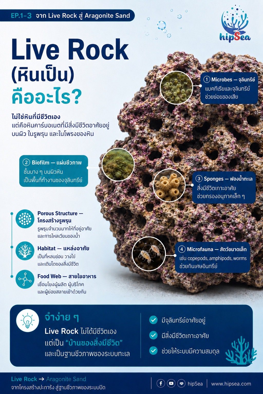 Live rock EP1 - หินเป็น