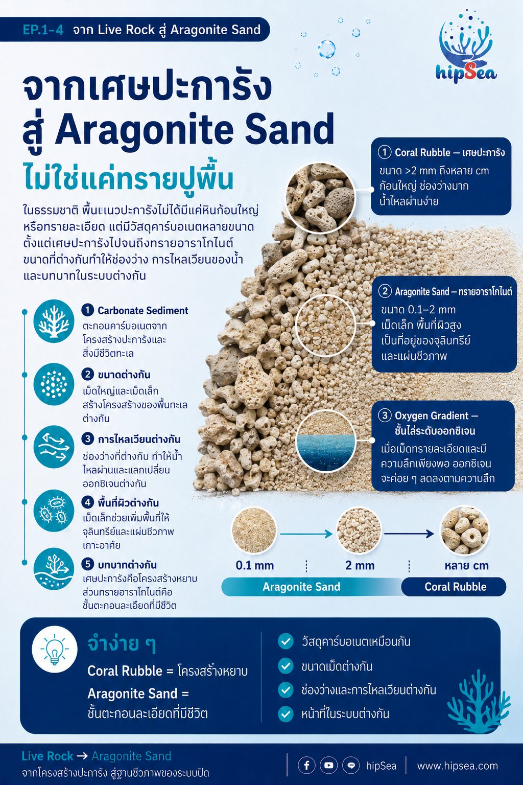 Live rock EP1 - หินเป็น