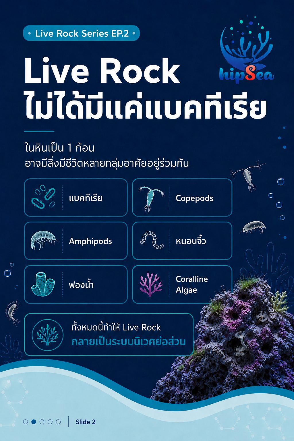Live rock EP2 - หินเป็น