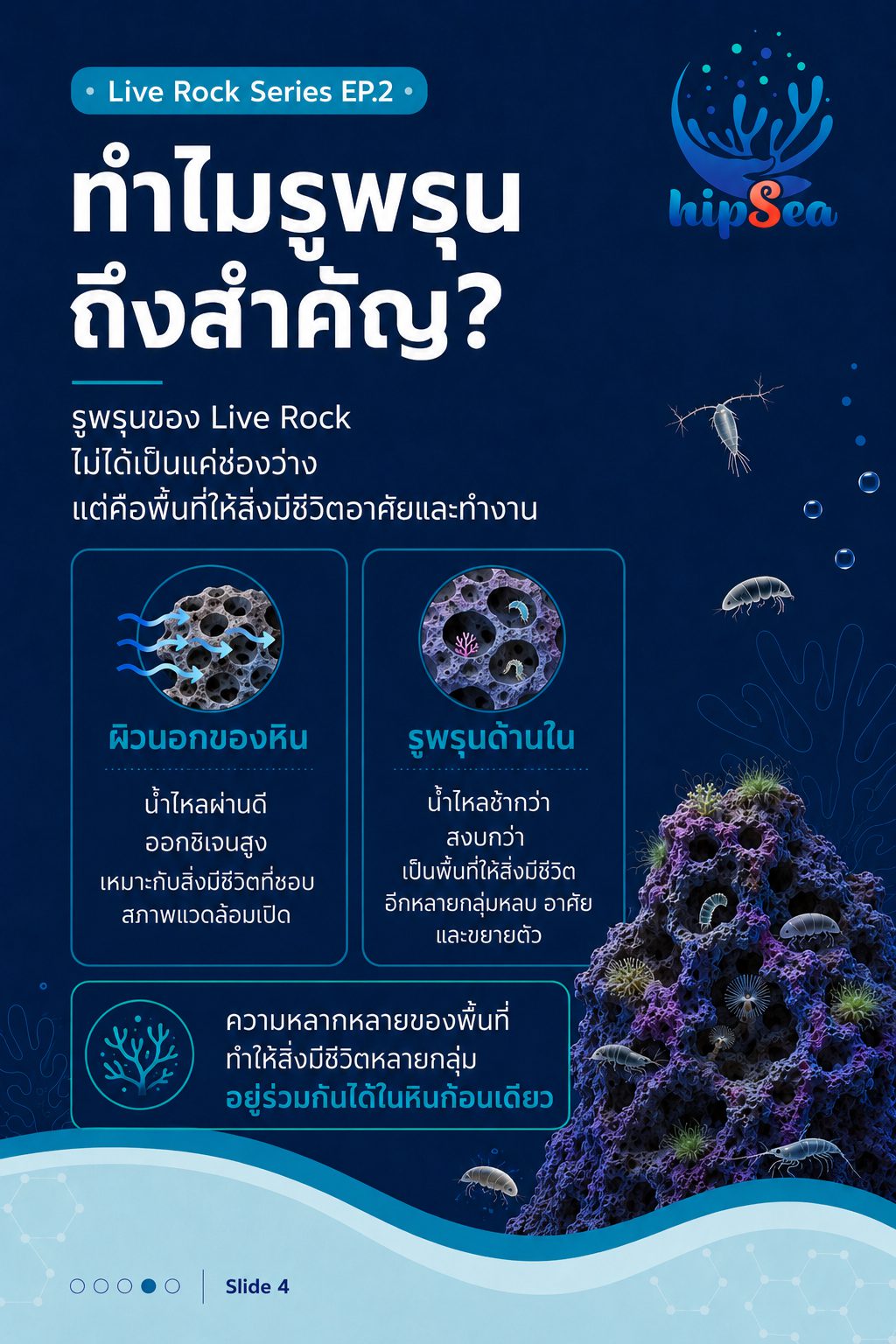 Live rock EP2 - หินเป็น