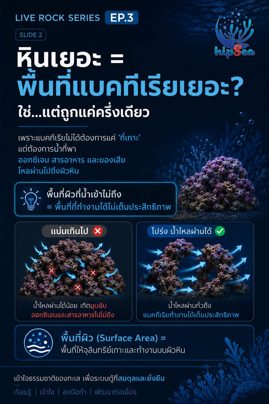 Live rock EP3 - หินเป็น