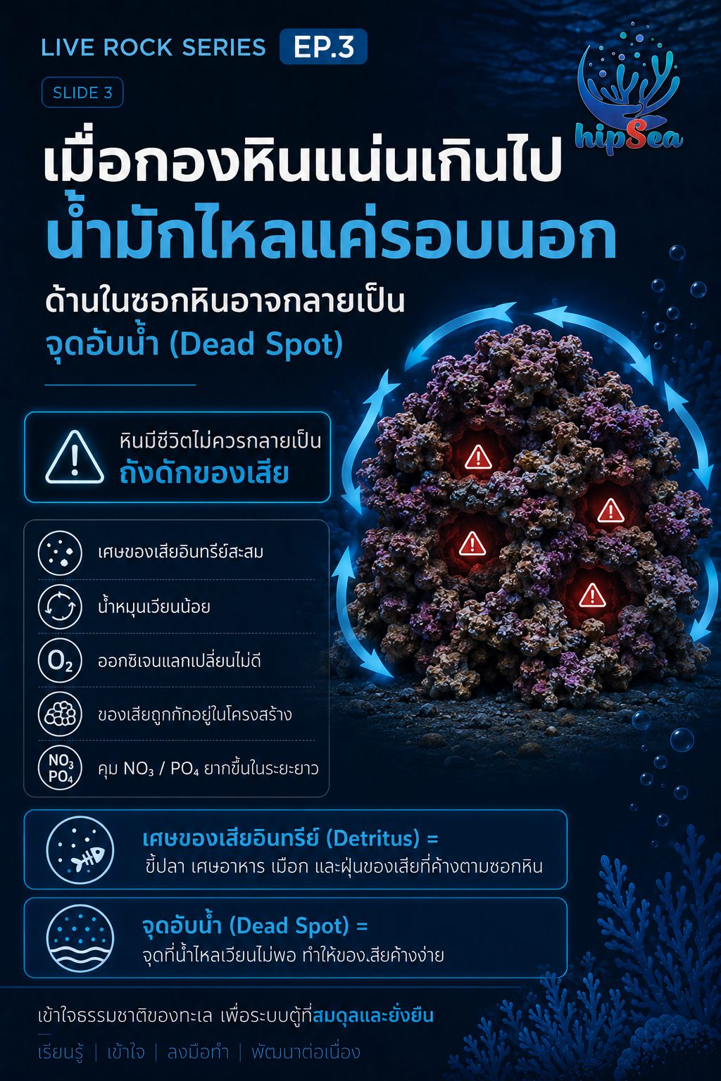 Live rock EP3 - หินเป็น