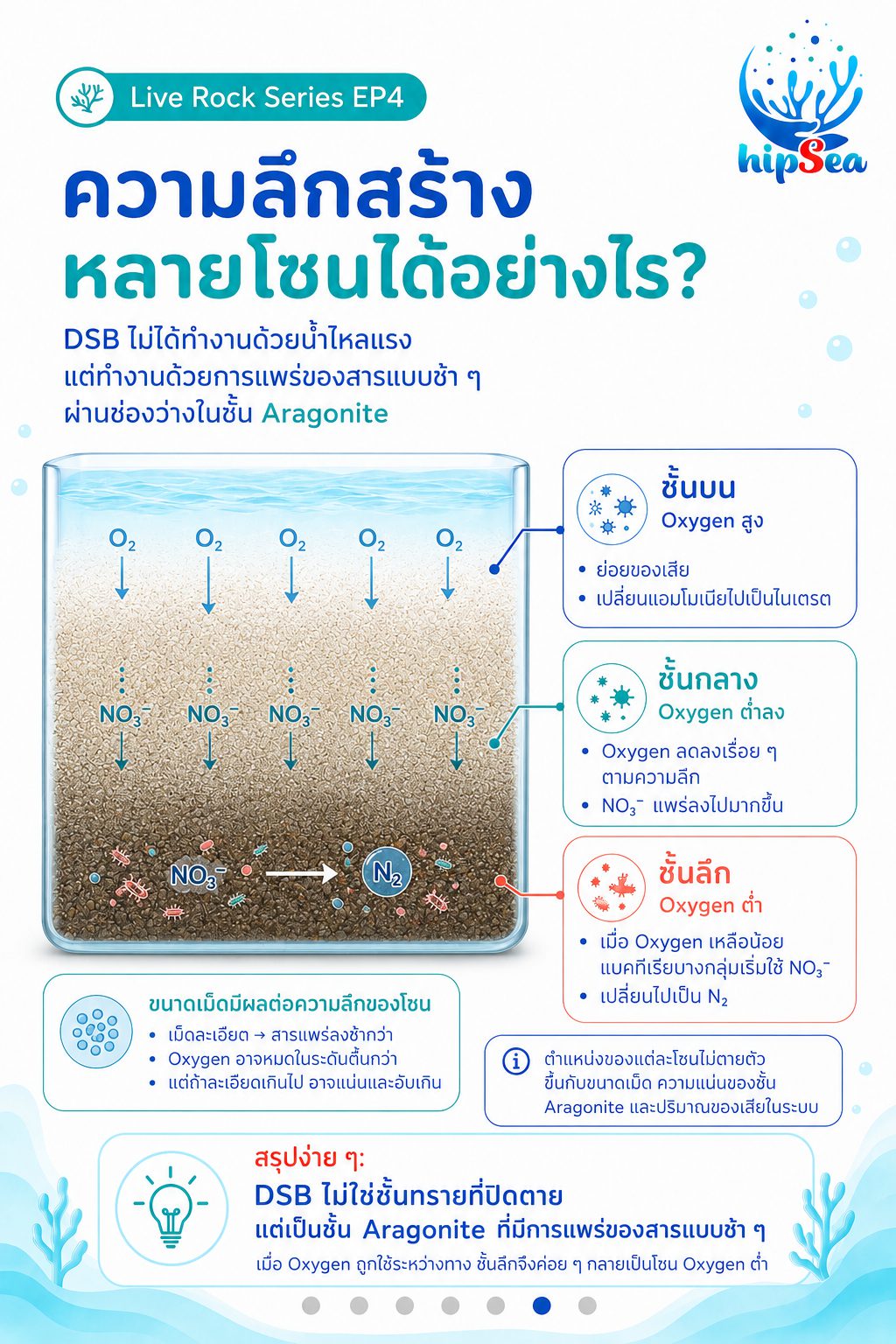 Live rock EP4 - หินเป็น