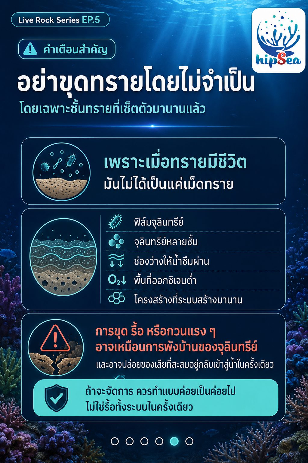 Live rock EP5 - หินเป็น