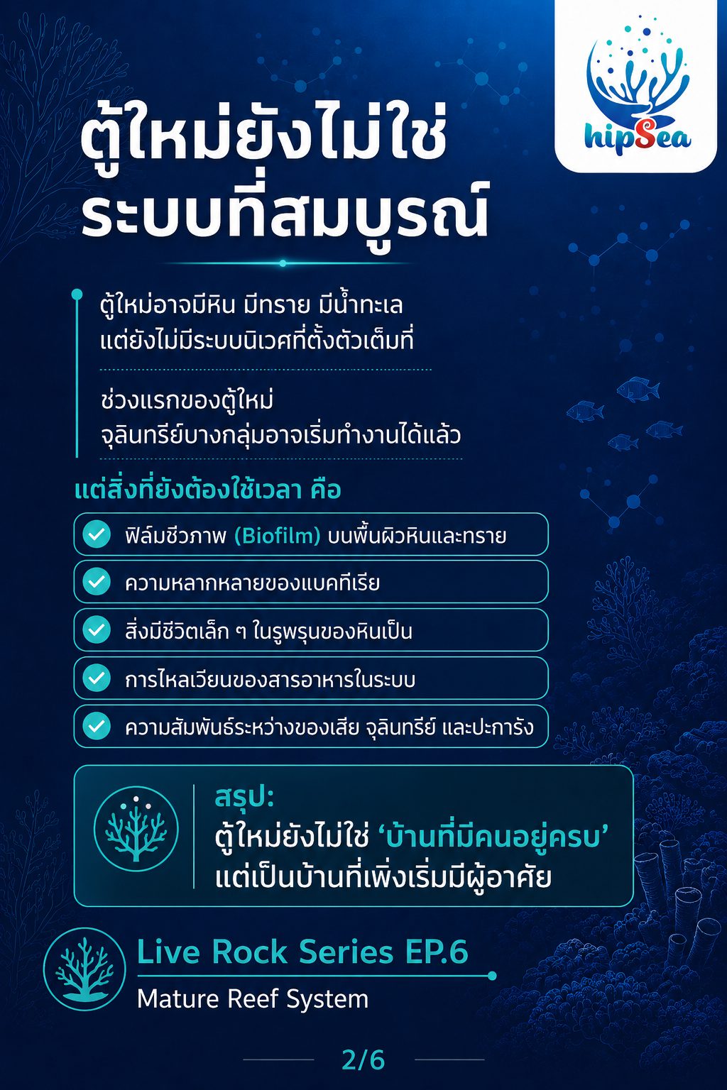 Live rock EP6 - หินเป็น