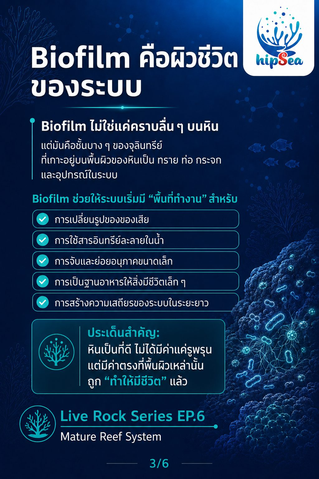 Live rock EP6 - หินเป็น