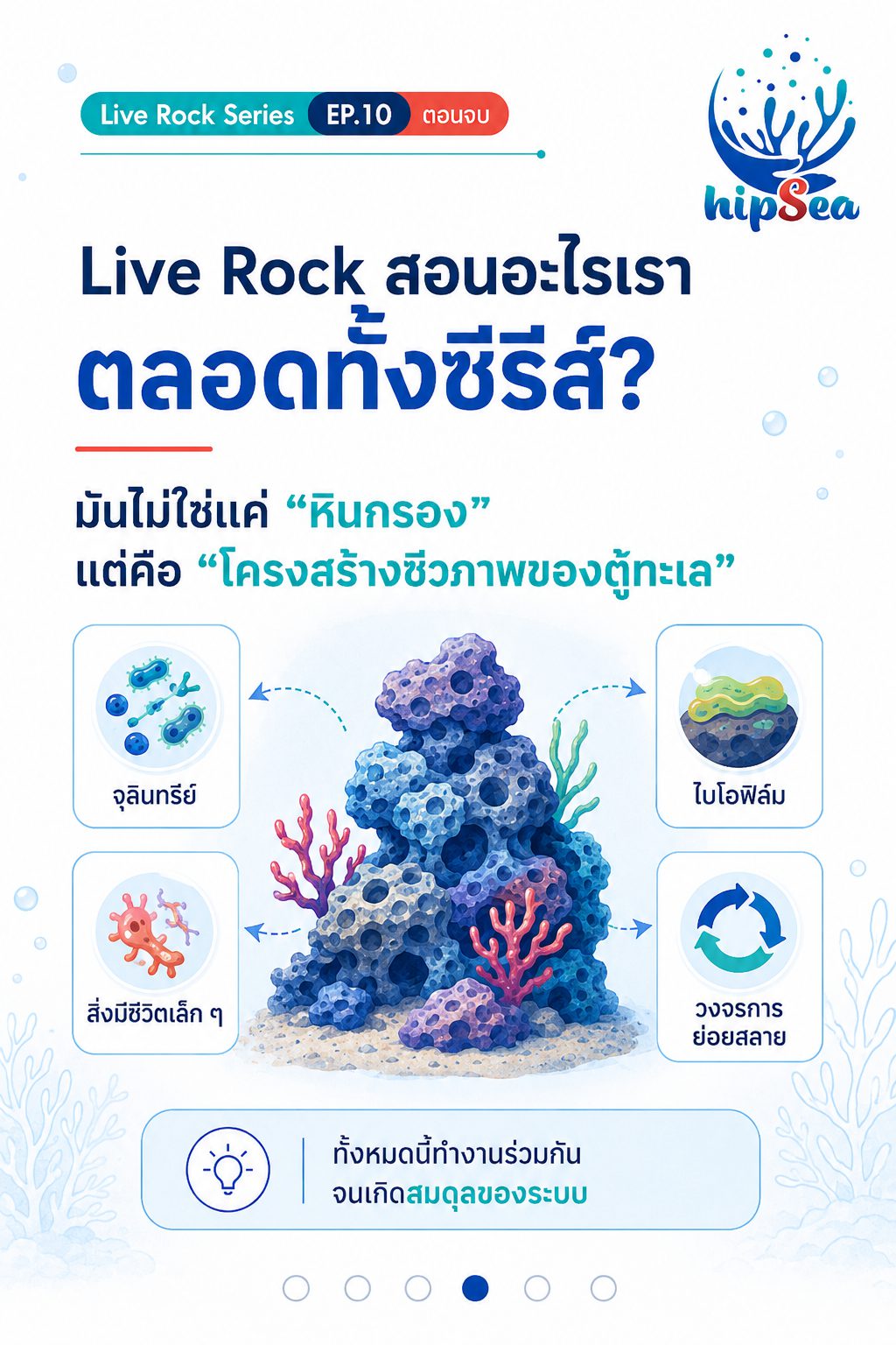 Live rock EP10 - หินเป็น