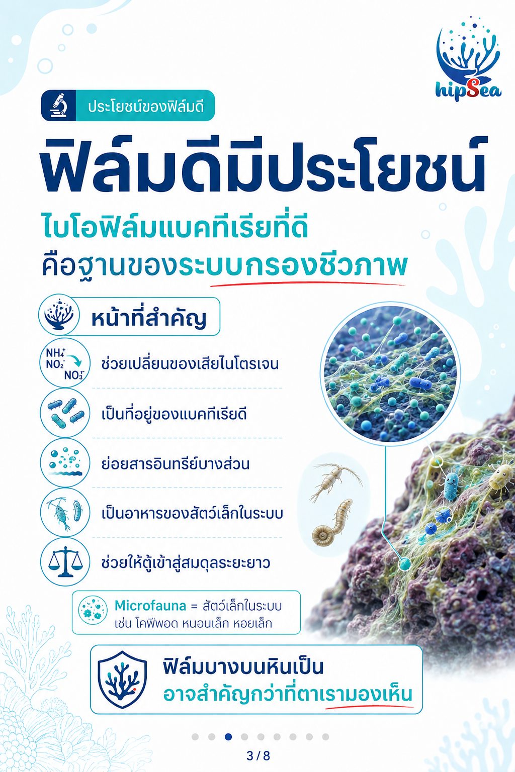 Biofilm รู้ไหมคืออะไร - ฟิล์มชีวภาพ, ไบโอฟิล์ม, เมือก