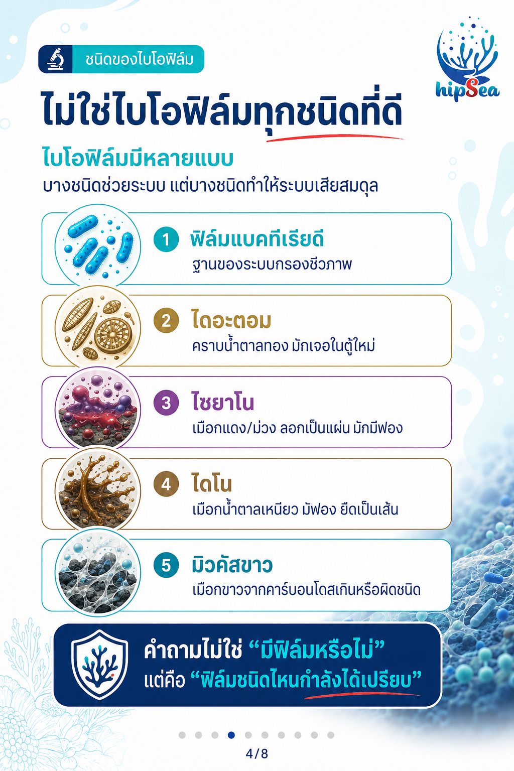 Biofilm รู้ไหมคืออะไร - ฟิล์มชีวภาพ, ไบโอฟิล์ม, เมือก
