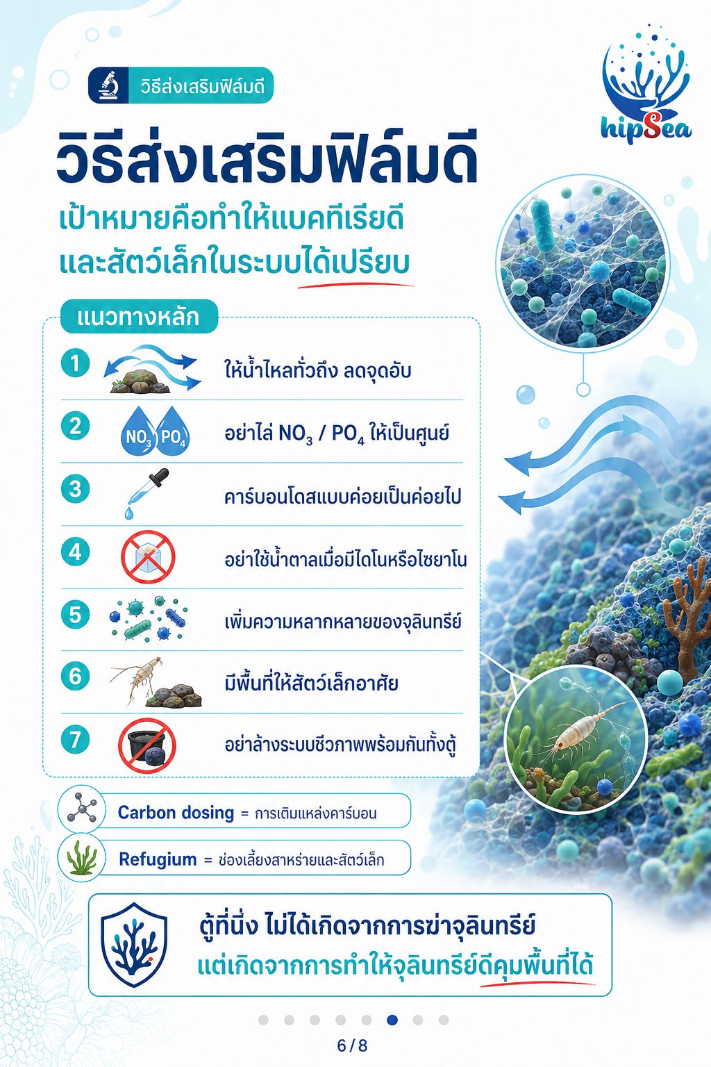 Biofilm รู้ไหมคืออะไร - ฟิล์มชีวภาพ, ไบโอฟิล์ม, เมือก