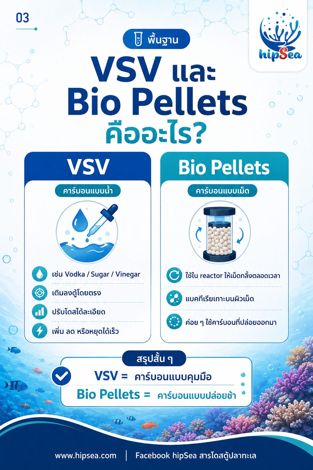 VSV vs Bio pellets - แบคทีเรีย, bacteria