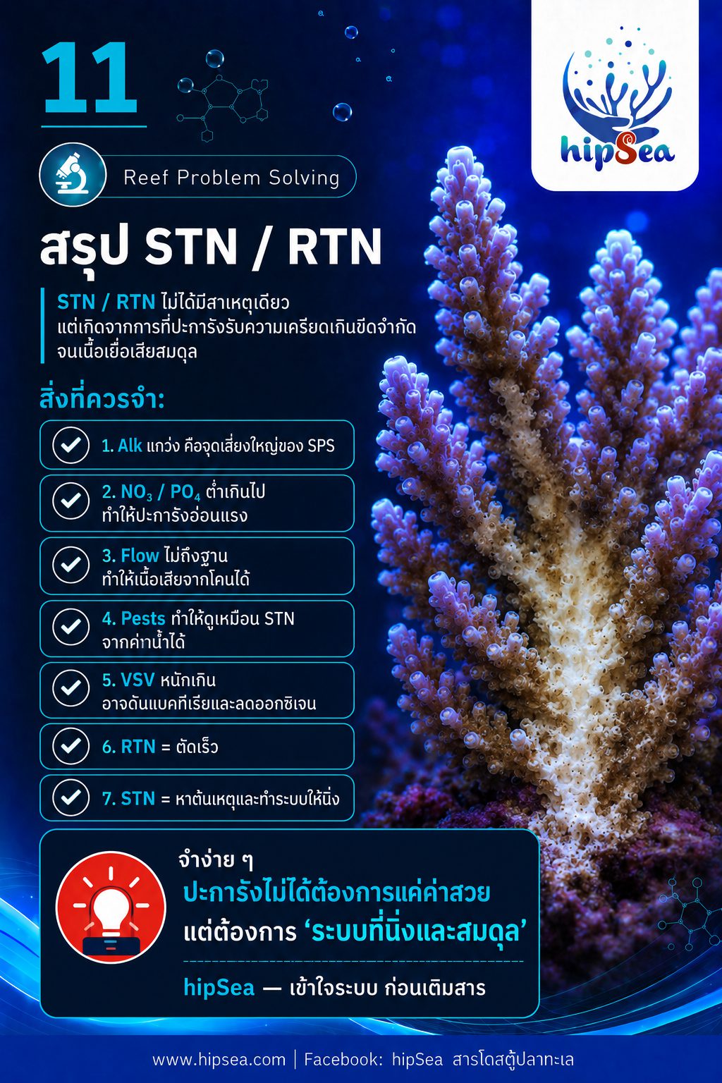 STN - RTN คืออะไร - Tissue, Necrosis