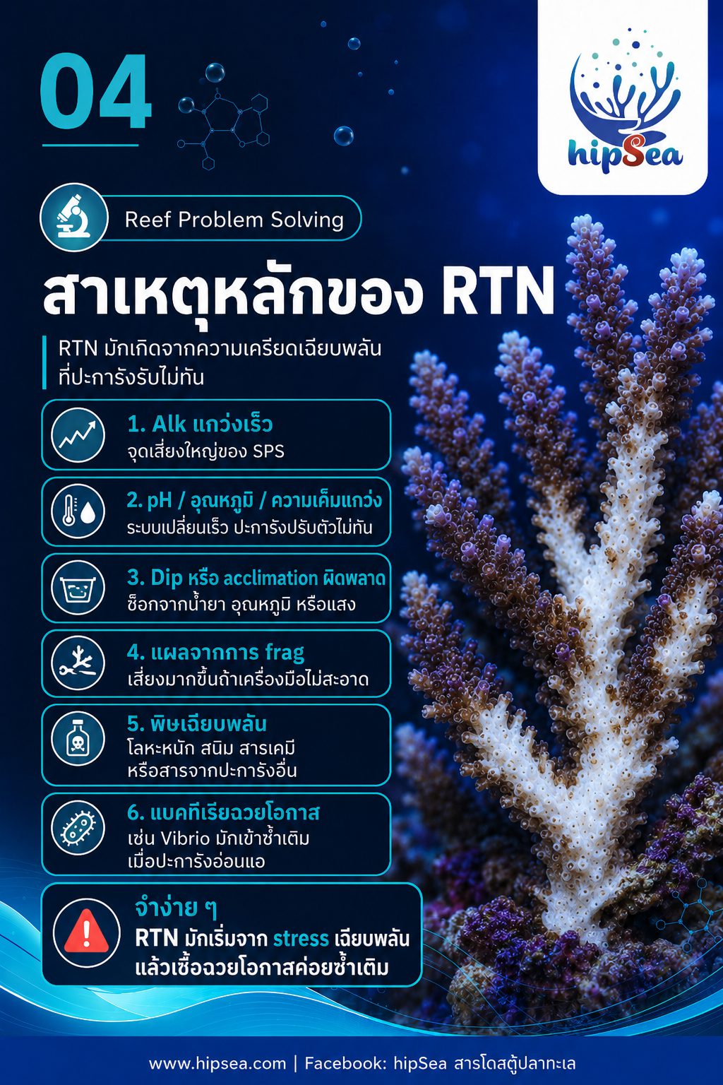 STN - RTN คืออะไร - Tissue, Necrosis