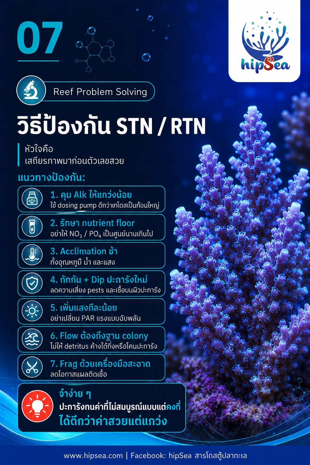 STN - RTN คืออะไร - Tissue, Necrosis