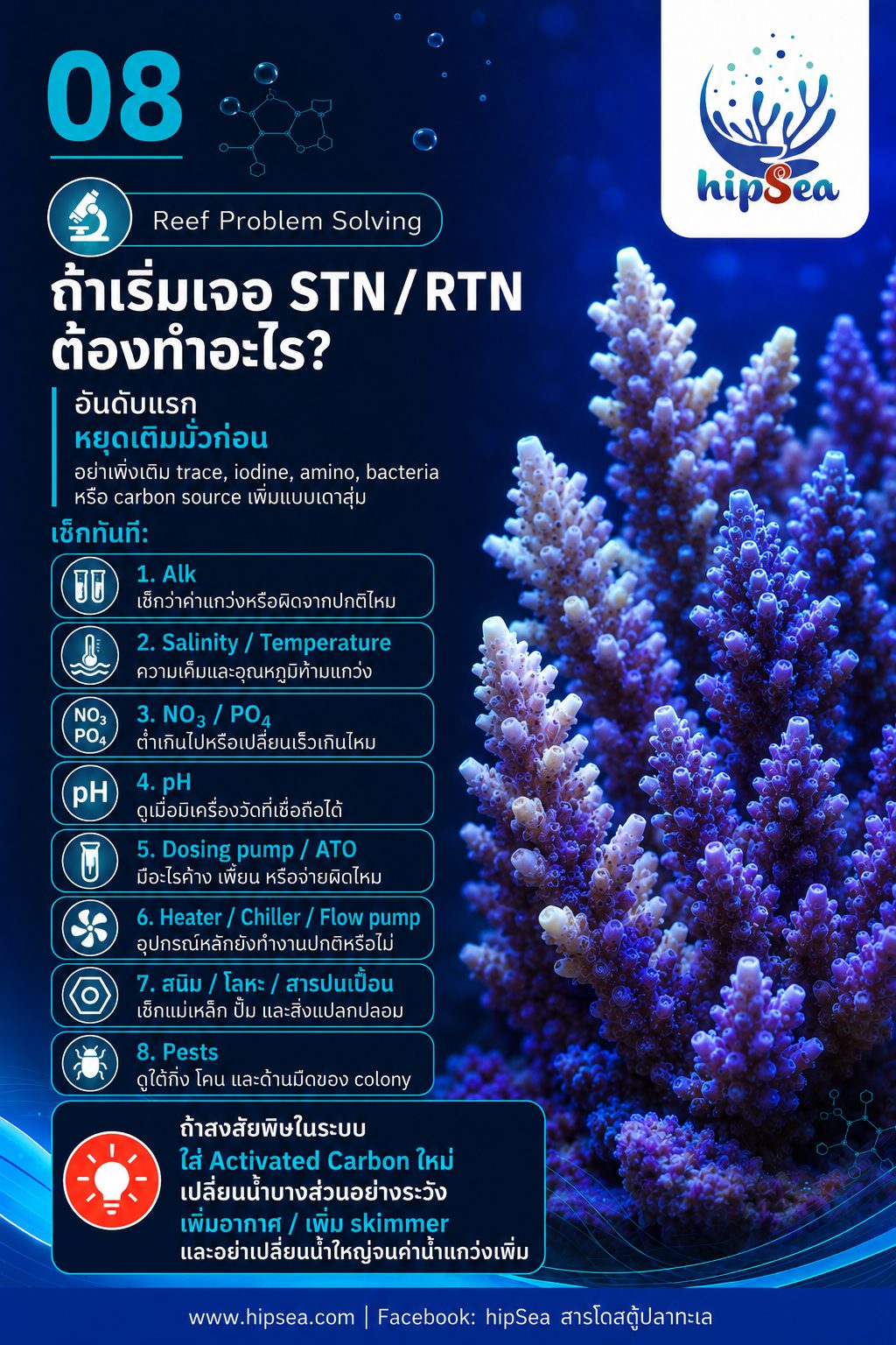 STN - RTN คืออะไร - Tissue, Necrosis