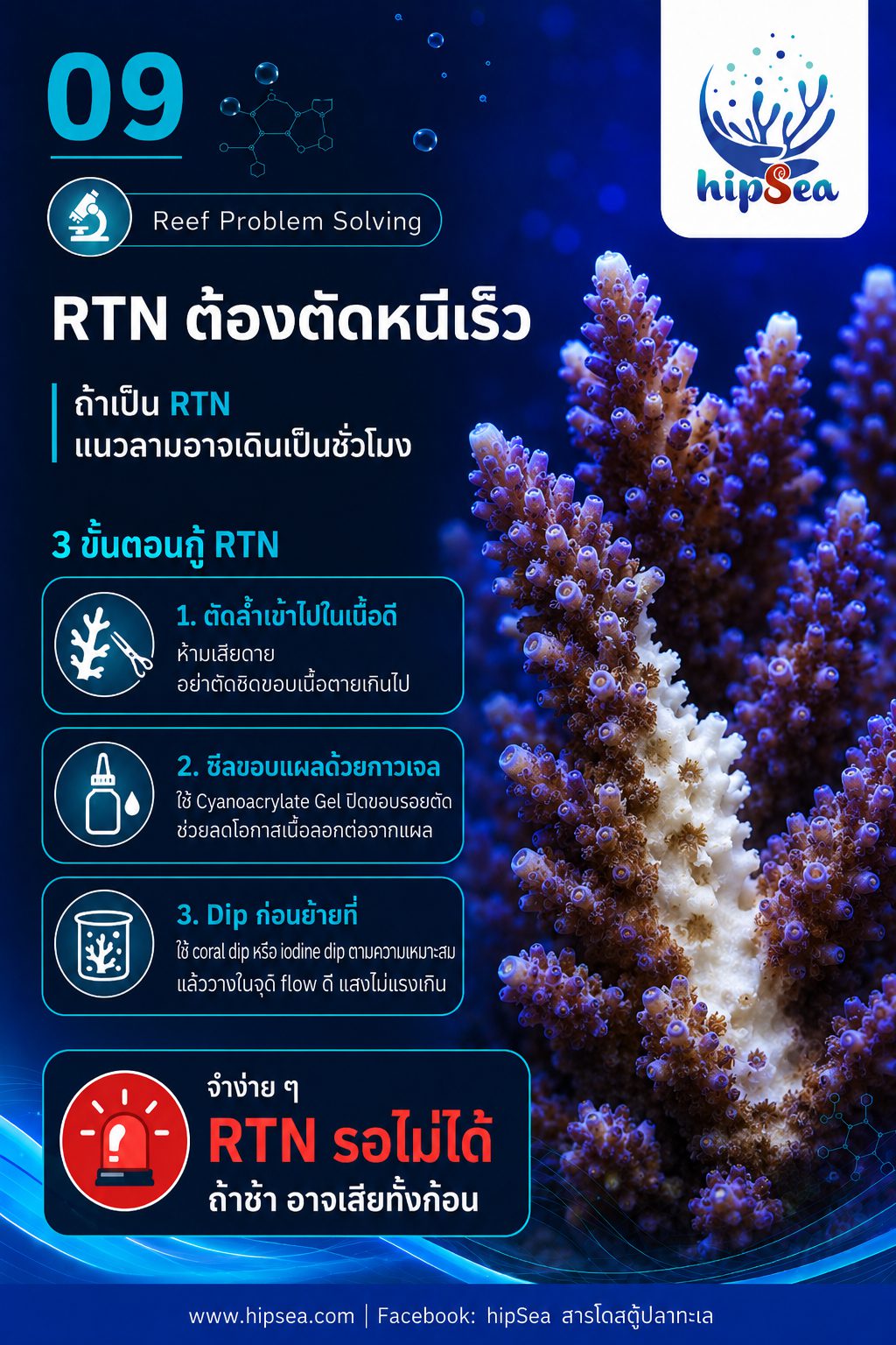 STN - RTN คืออะไร - Tissue, Necrosis