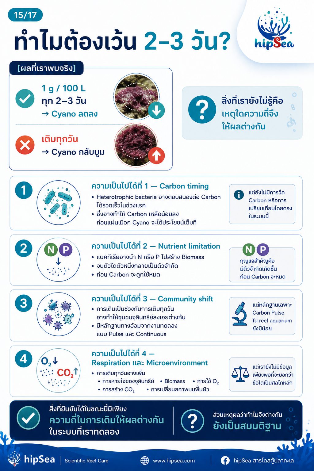 Cyanobacteria - ไซยา, น้ำตาล, VSV, Carbon