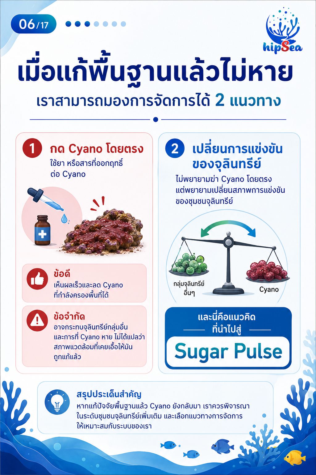Cyanobacteria - ไซยา, น้ำตาล, VSV, Carbon