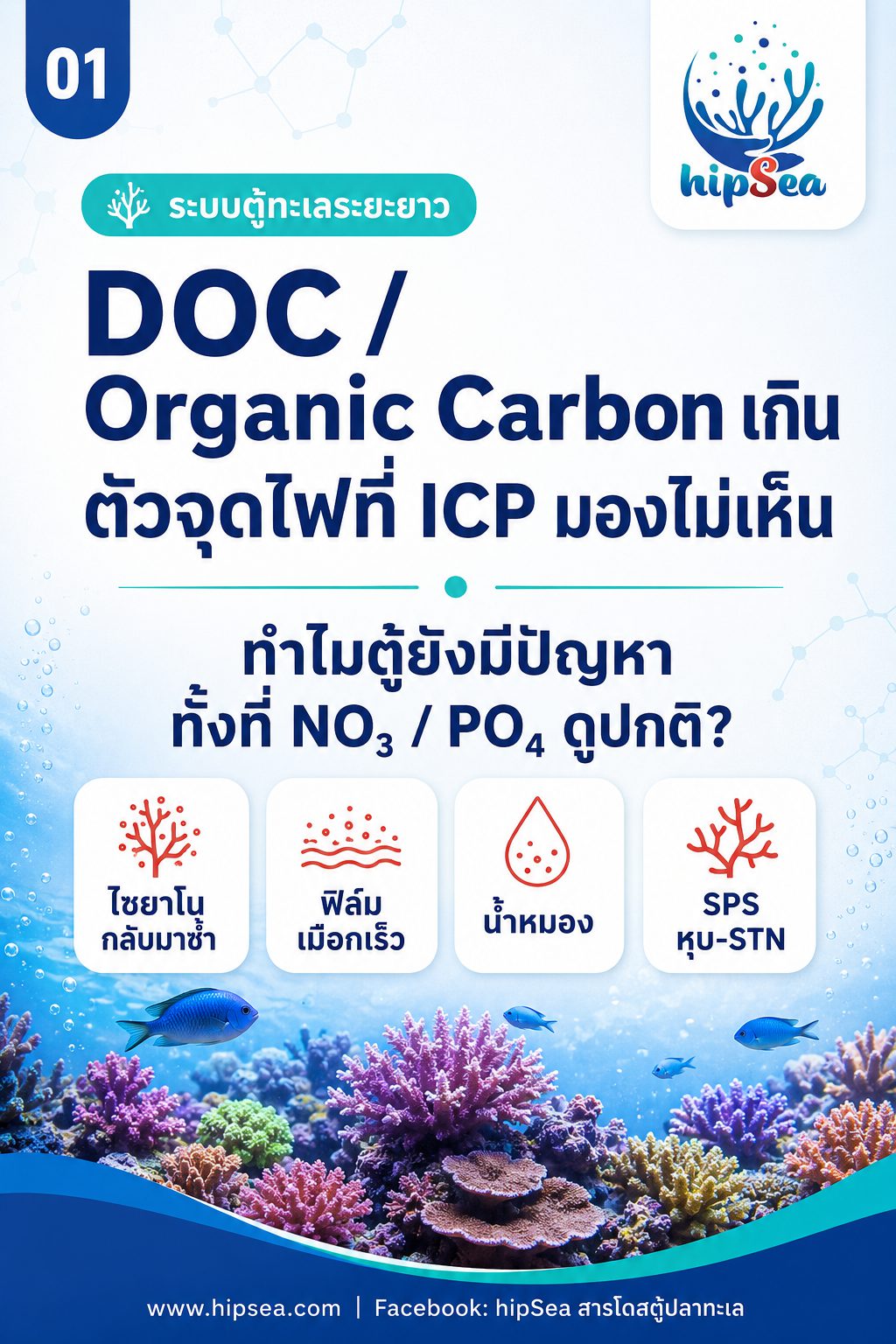 DOC เกินคืออะไร