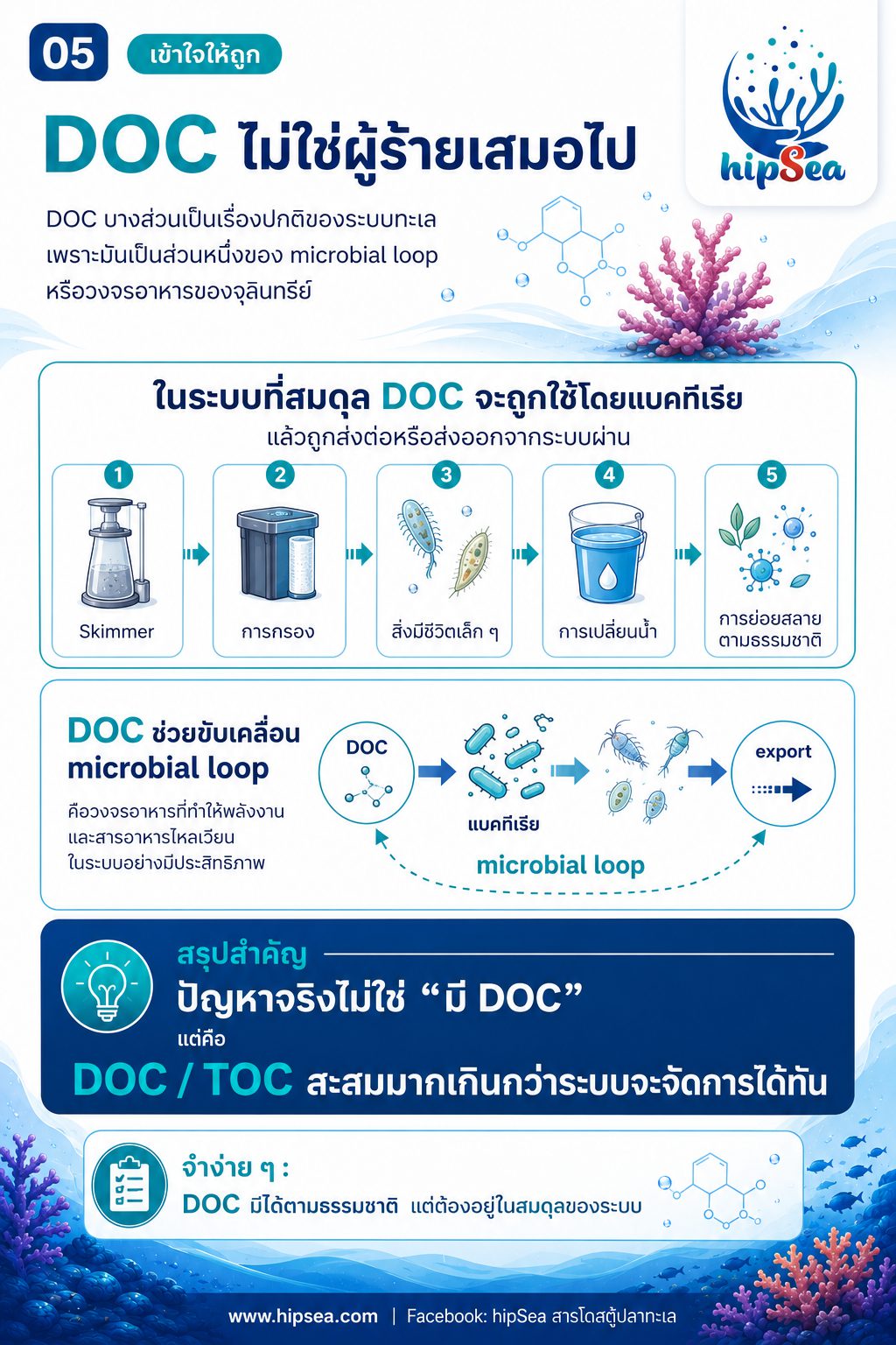 DOC เกินคืออะไร - อินทรีย์, คาร์บอน