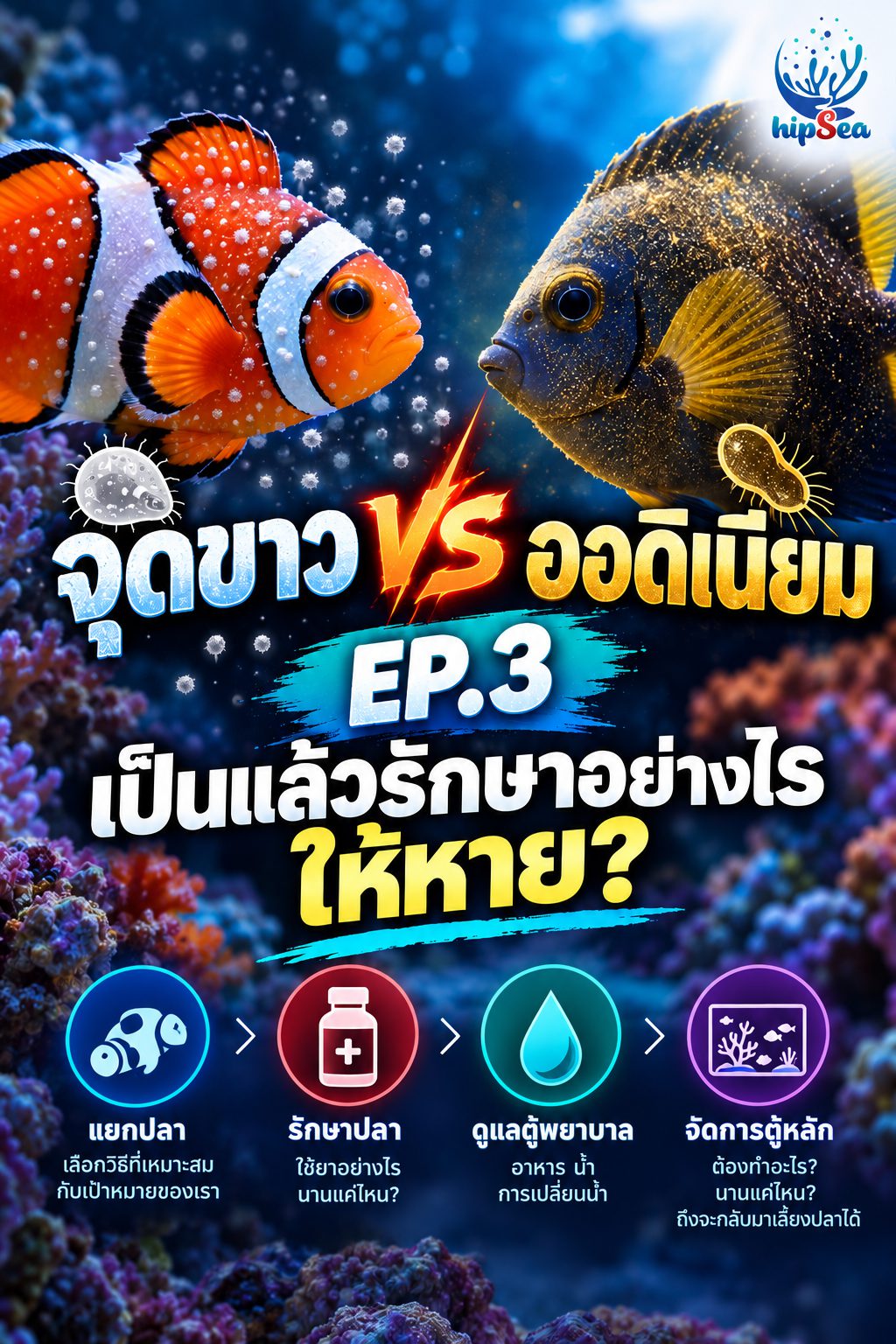 จุดขาว vs ออดิเนียม EP3