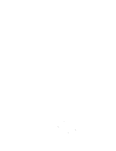 HipSea & Gorgonian